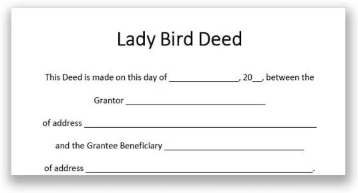 Lady Bird Deeds